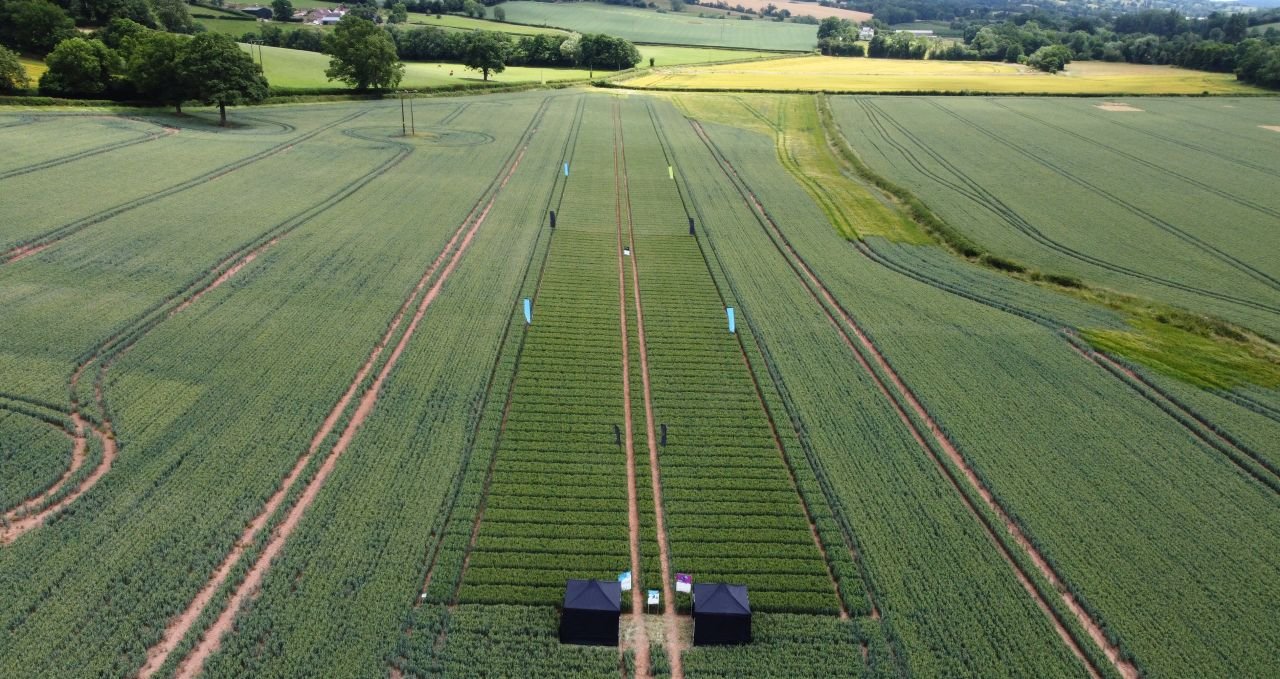 ADAMA and BASF agricultural solutions partner to co-develop breakthrough Gilboa® Fungicide technology 