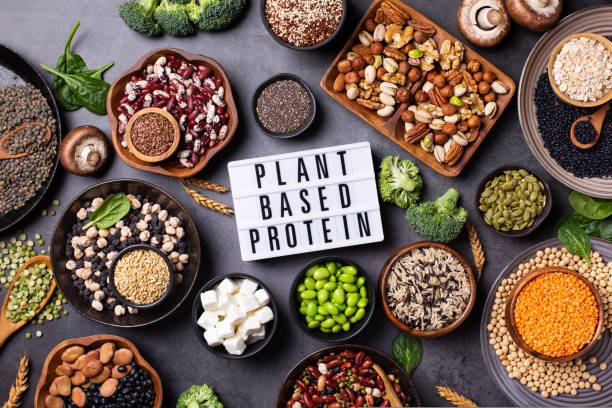 ABS Reform is missing link in India’s plant-based innovation story