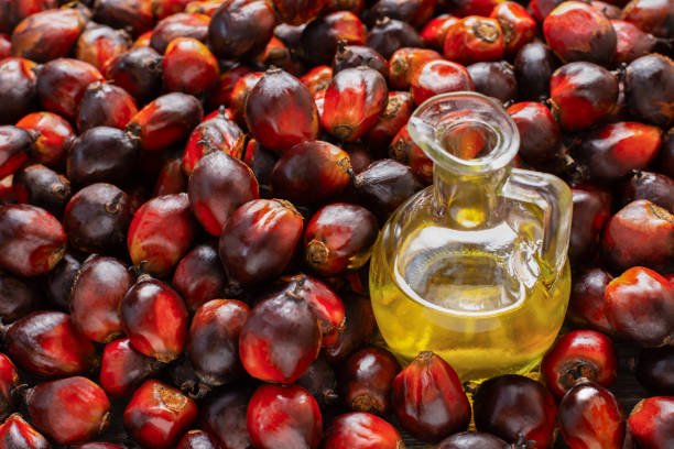 Palm Oil after ESG: Is Golden Crop losing its crown?
