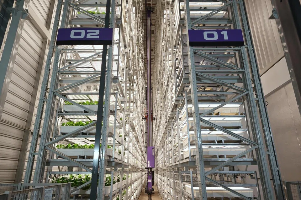 Singapore's unveils World’s tallest indoor vertical farm Greenphyto, with $80 million investment