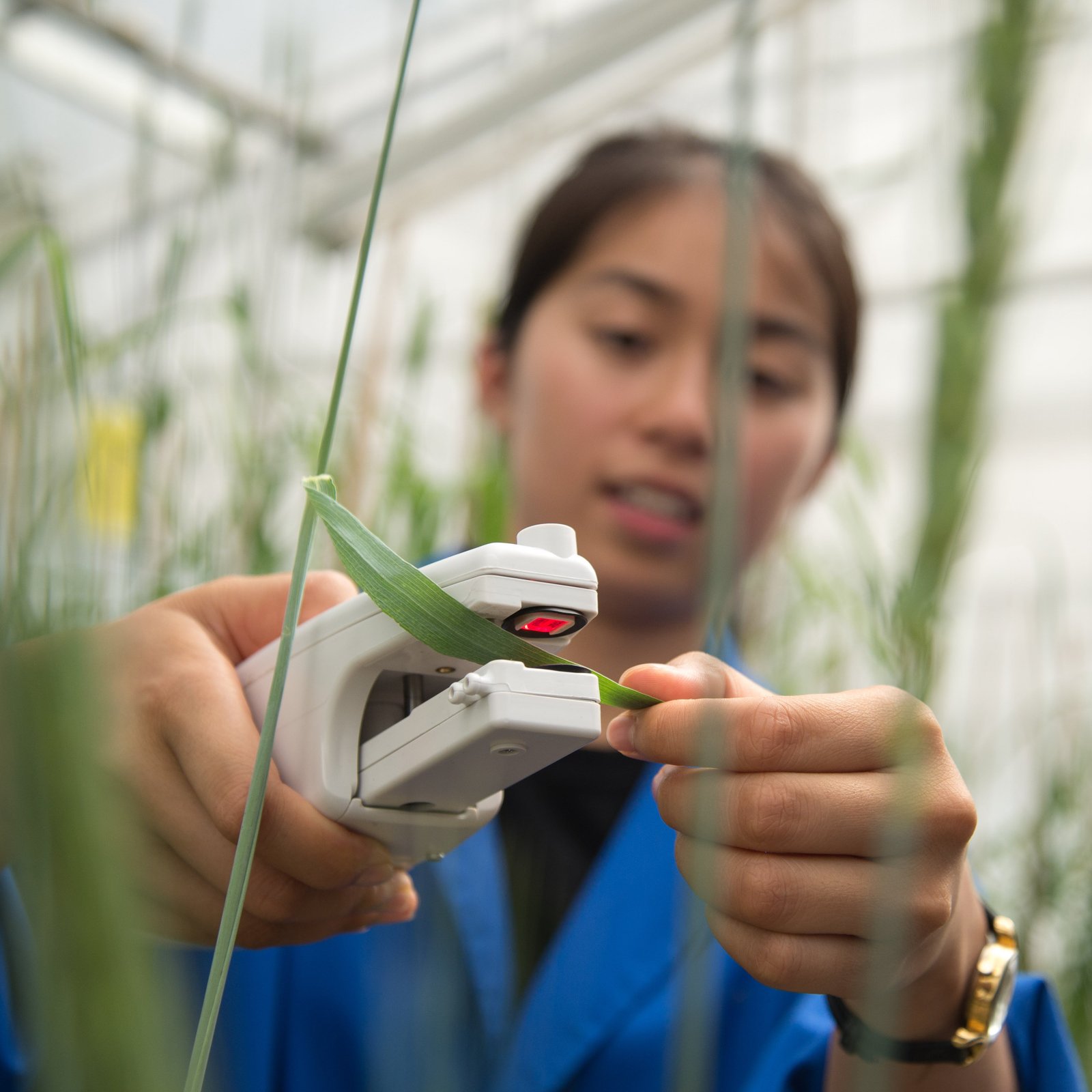 Australia's CSIRO opens program for SMEs developing farm and food technology solutions