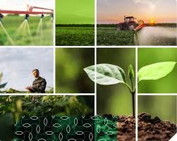 Thailand's Indovinya unlocks Smart formulation to unleash full potential of biopesticides in agriculture