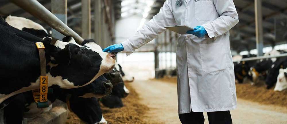 Higher regulatory standards raise bar for new antibiotics but create opportunity for low-risk, biodegradable alternatives