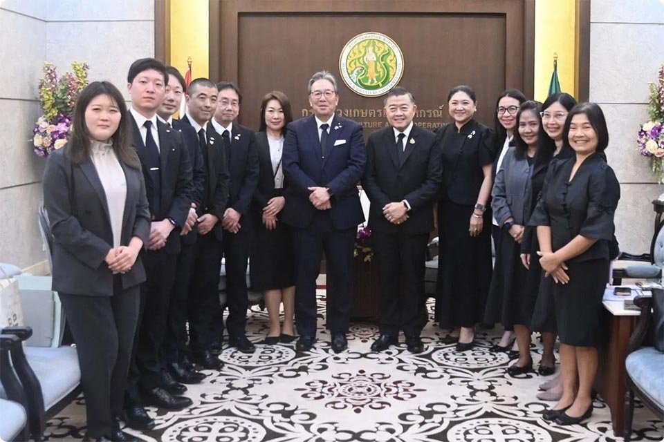 Thai pomelos and mangoes set for expanded access to Japanese markets through collaborative efforts