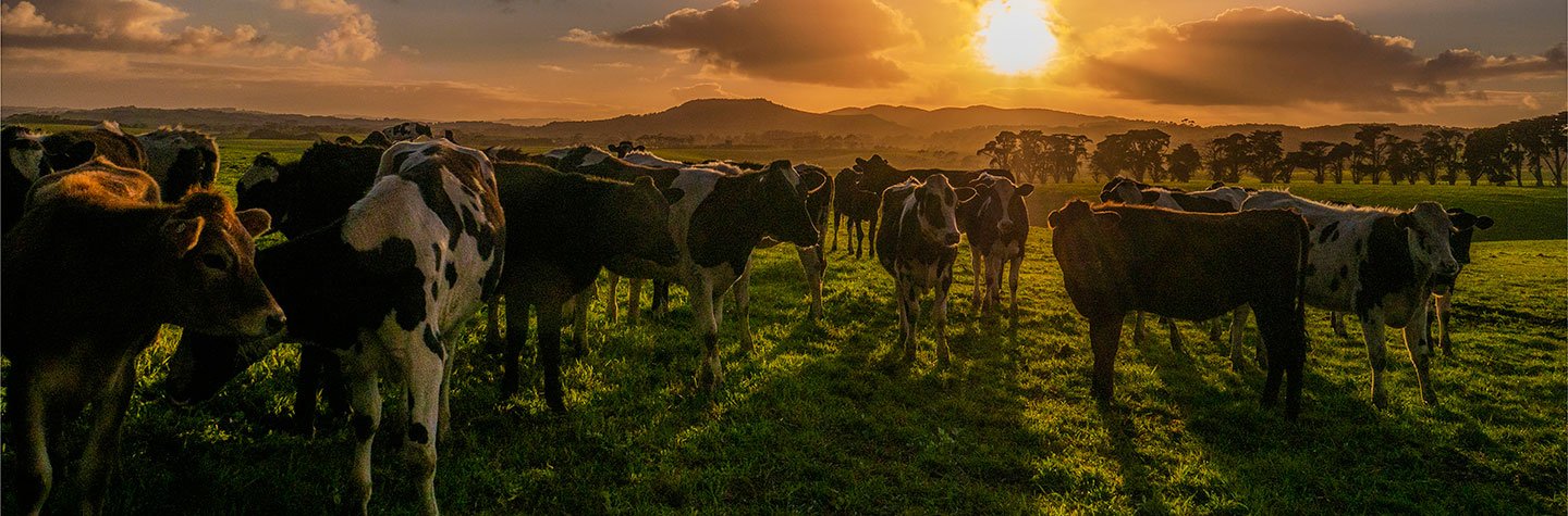India should move toward productivity-linked livestock insurance, but only through phased, data-anchored evolution: Ritesh Chauhan, Secretary of Animal Husbandry, Govt of Himachal Pradesh
