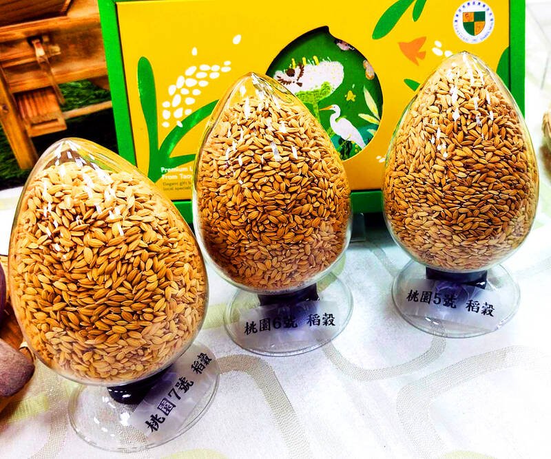Taiwan researchers create water-efficient rice varieties to cut greenhouse gas emissions