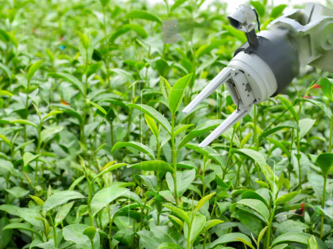 I-Pulse launches iTerra pulsed power solution for weed control without chemicals