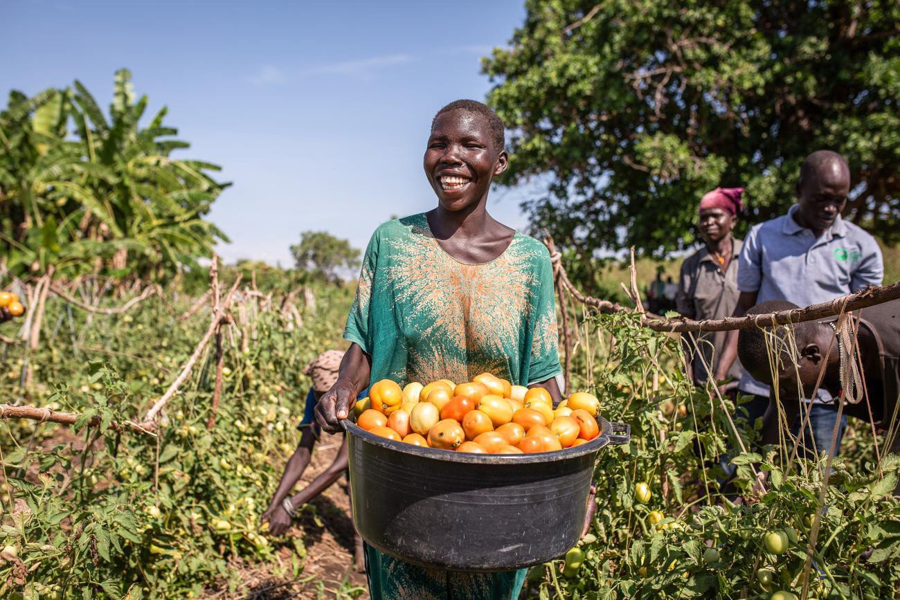 Bayer Foundation and the UN Capital Development Fund announce inaugural investments of Food Systems Innovation Finance Facility in agri-businesses Omia and SokoFresh
