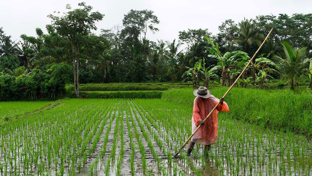 Philippines Agriculture Department partners with Megawide to modernize farm infrastructure