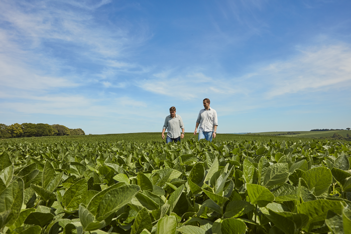 BASF agricultural solutions acquires AgBiTech, expanding its biological insect control portfolio