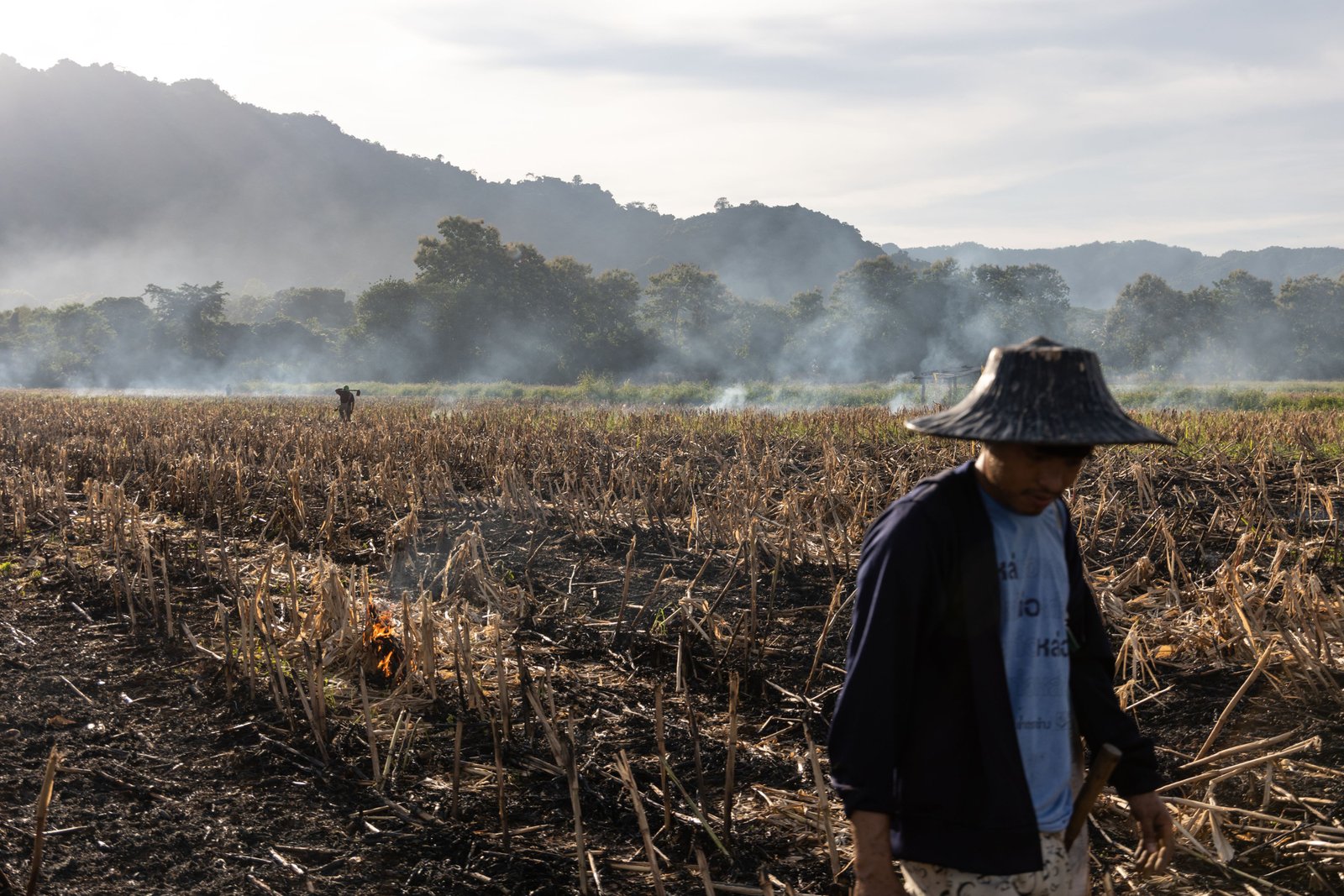 Thailand Inc. unites to eliminate crop burning; over 100 firms sign Earth Day Pact