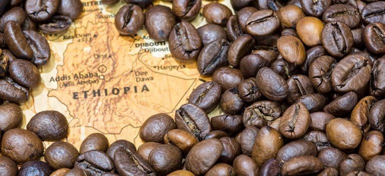 Ethiopia emerges as Africa’s top wheat, coffee producer