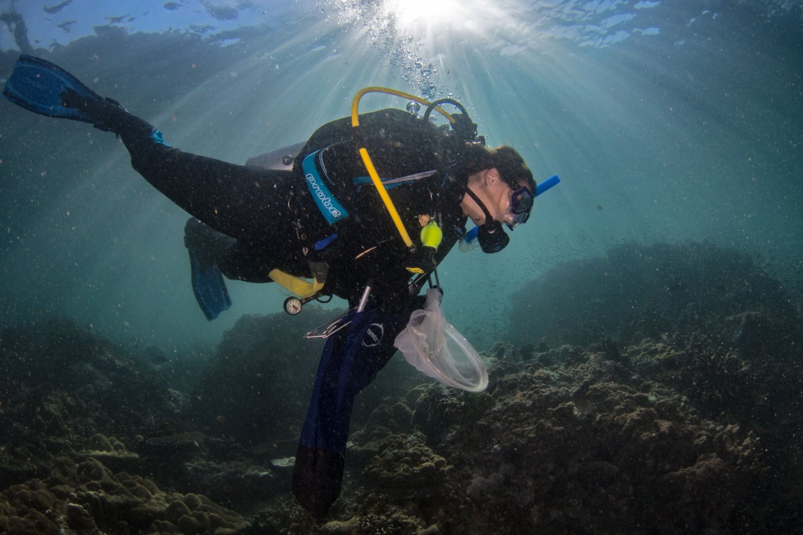 75% of marine protected areas hit by pollution: Wake-up call for global conservation