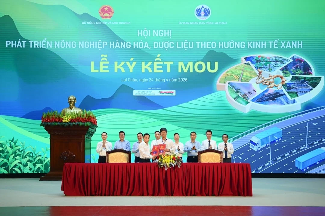 Lai Chau secures wave of strategic agreements to accelerate green agricultural transformation