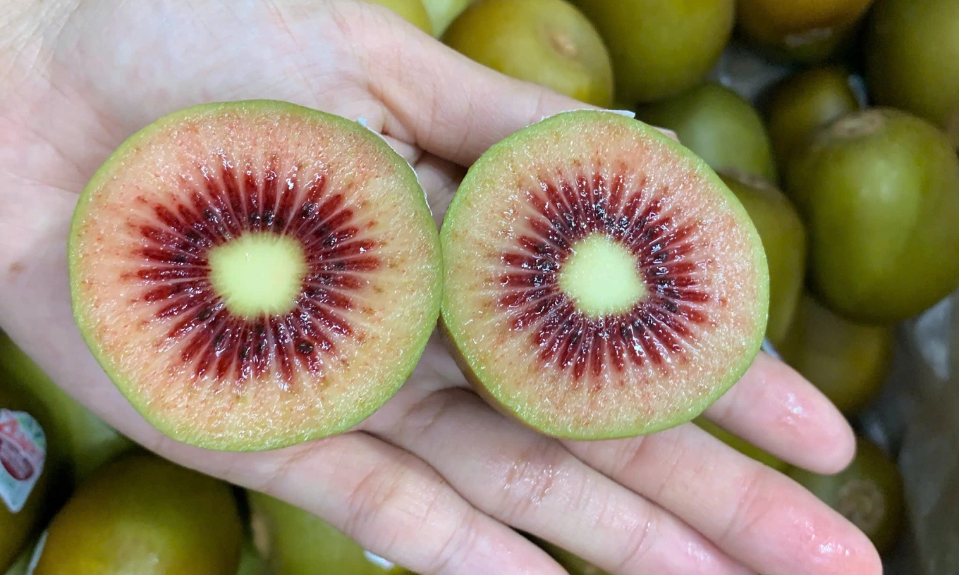 New Zealand red kiwifruit enters Vietnam market at premium price