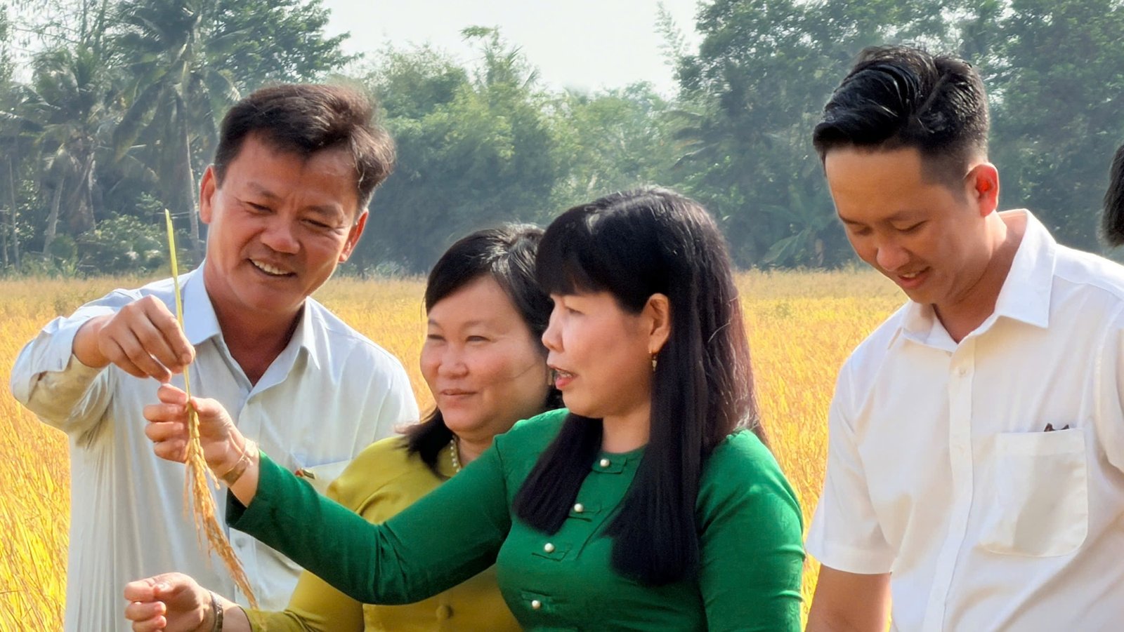 Success of Fertilize Right pilot in Vietnam’s 1M-Hectare Rice Program show better yields and incomes