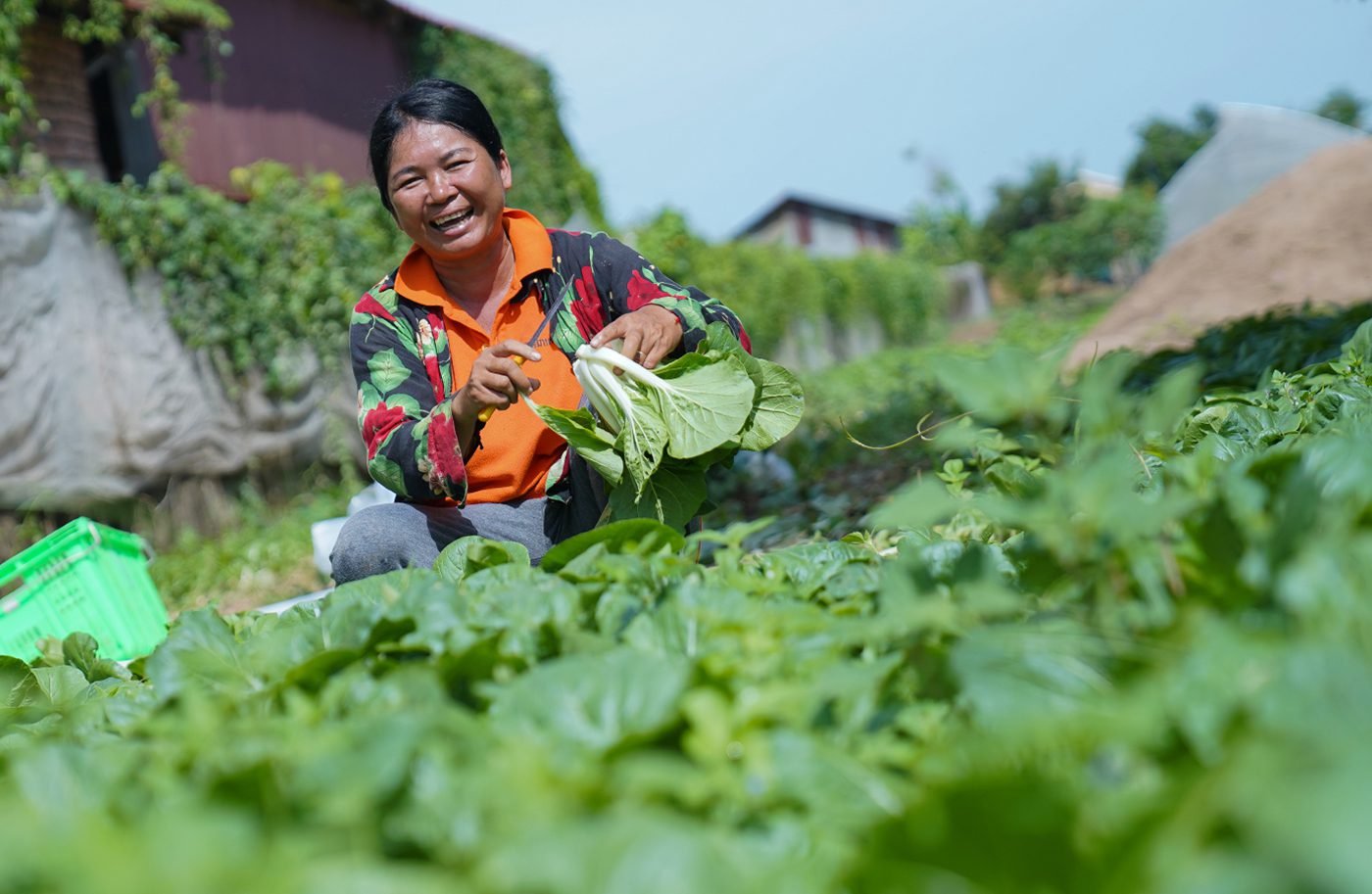 Cambodia courts South Korean investment in cashew and agri-processing sector