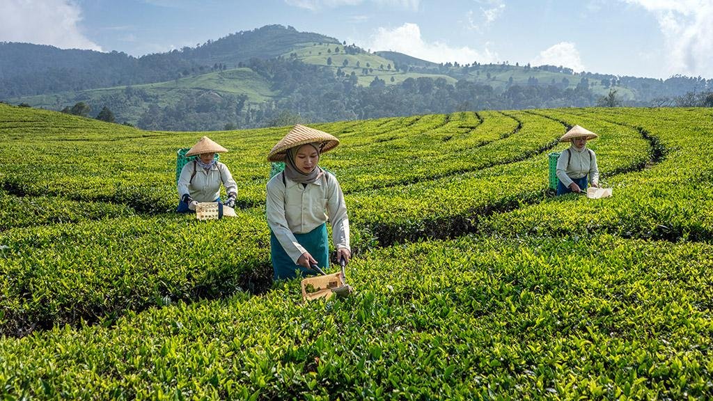 UAE Presidential Court commits $1.5 Mn to ADB agricultural innovation fund to strengthen food security across Asia-Pacific