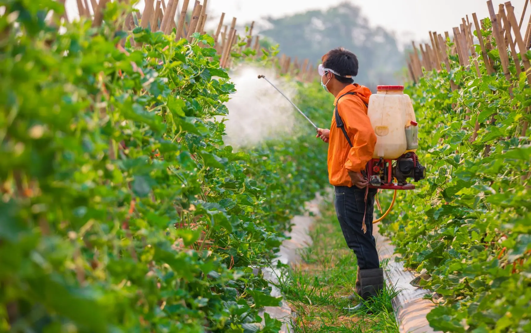 SISPA Platform marks major regulatory modernisation in Brazil’s pesticide sector