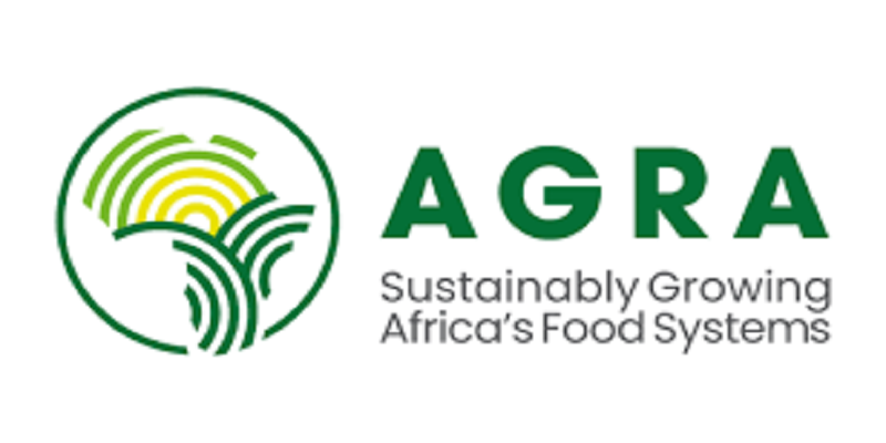 Blended finance models to drive private investment in African agriculture