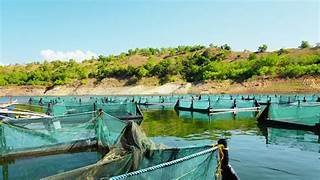 BFAR rolls out expanded fisheries recognition program to boost coastal and inland livelihoods