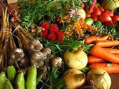 New Philippine agri-tech initiative targets heavy metal contamination in food crops
