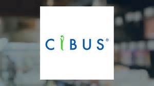 Cibus pushes toward 2027 rice launch as gene-editing momentum builds globally