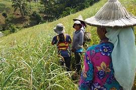 Philippines agriculture reform gains momentum with $1 Bn World Bank financing package