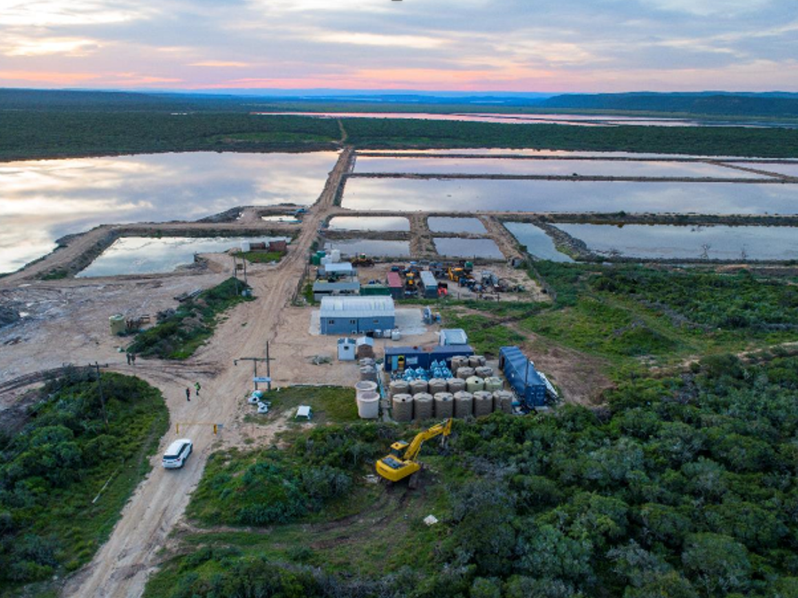 Hive Hydrogen to invest $1 Bn in Coega Green Ammonia Project using Topsoe’s SOEC Technology