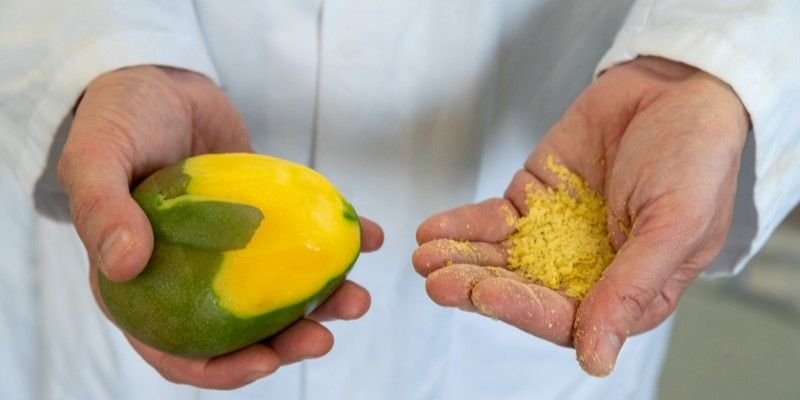 Building AI platform to help food security