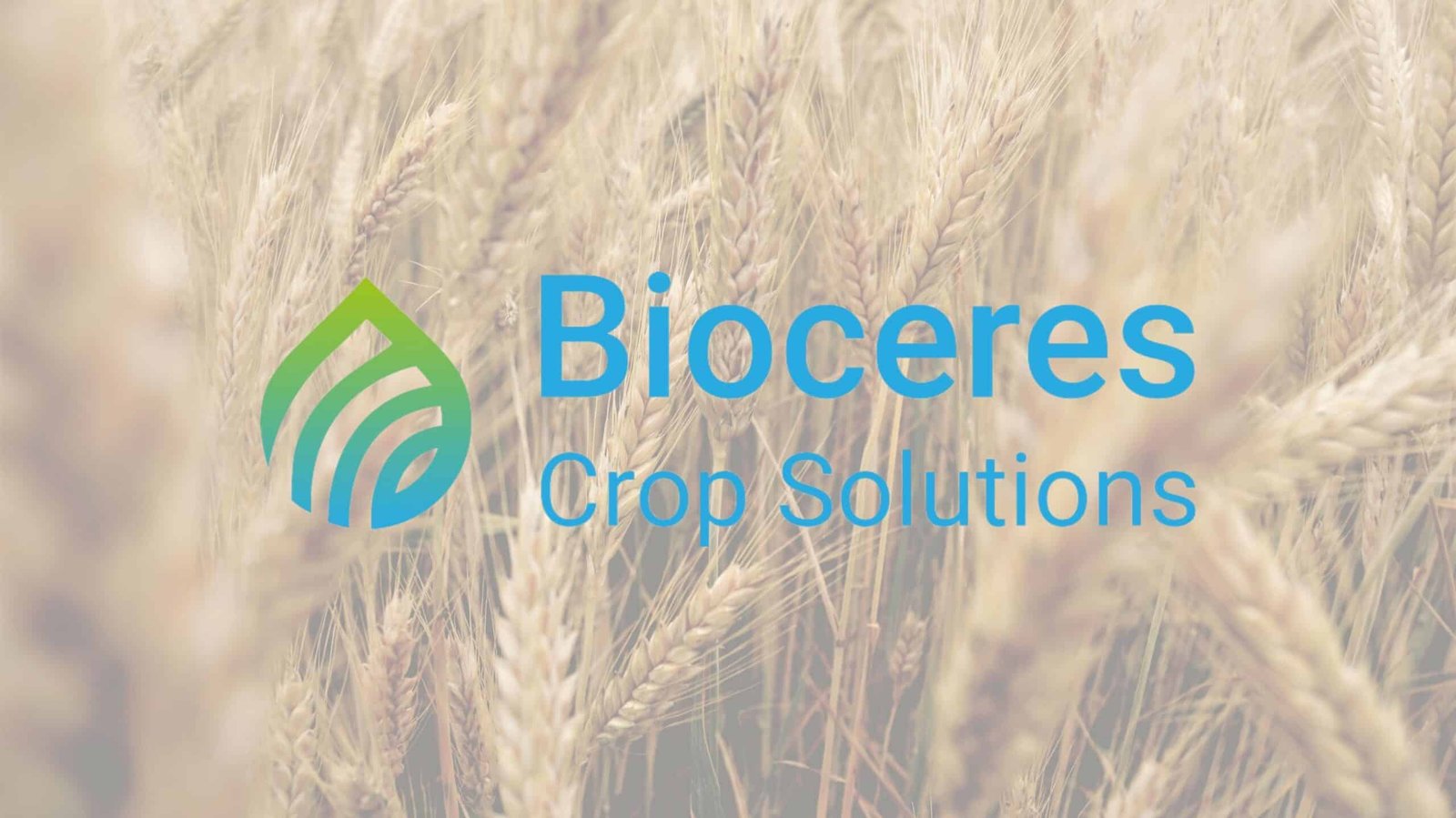 Bioceres Crop Solutions reports softer Q3 FY2026 performance amid strategic reset and portfolio restructuring