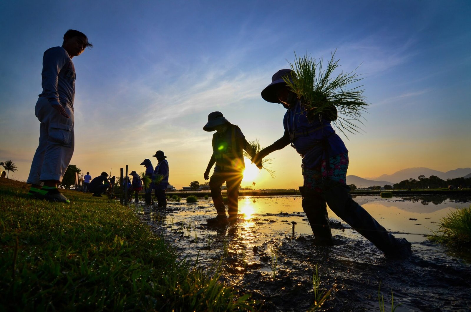 DA-CAR rolls out climate adaptation agriculture programme across Cordillera Region