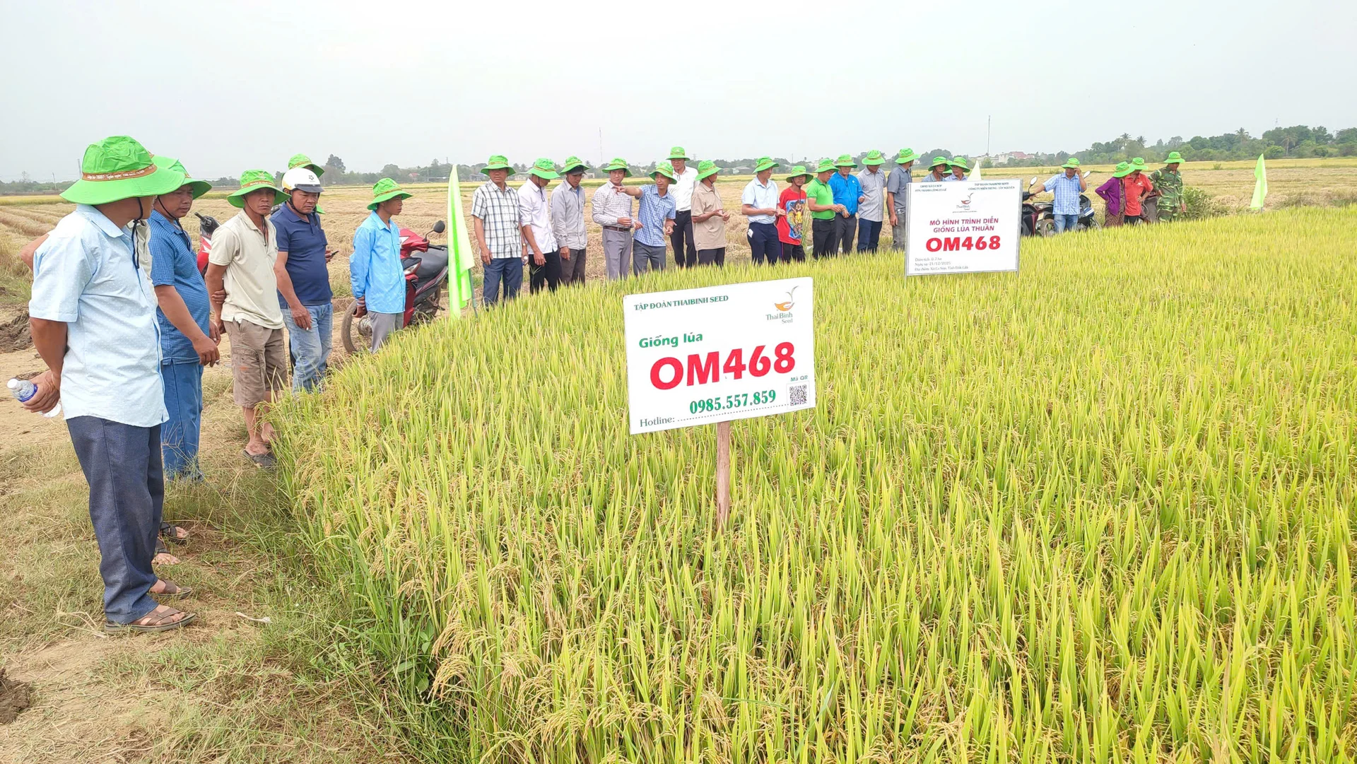 Dak Lak charts cooperative-led agricultural future as province targets 35% farm value through integrated value chains
