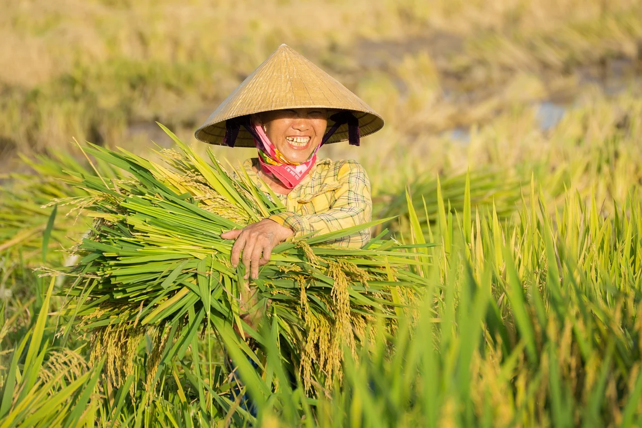 Vietnam diversifies export markets beyond key buyers China, US and South Korea