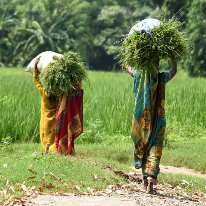CGIAR Climate Action awards six research grants to deepen research on GESI across program
