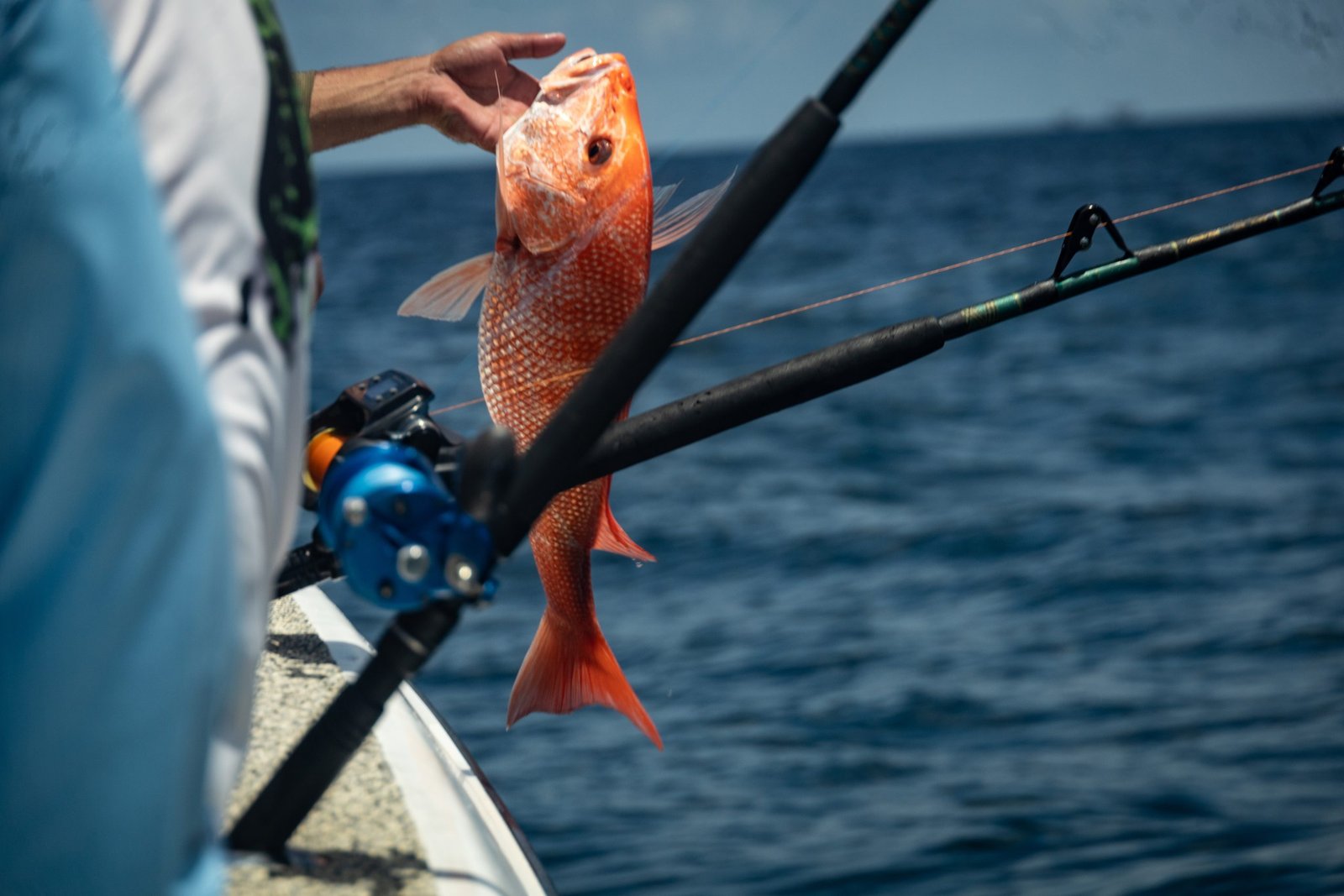 Australia commits $55.8 Mn to intensify fight against illegal fishing and biosecurity threats