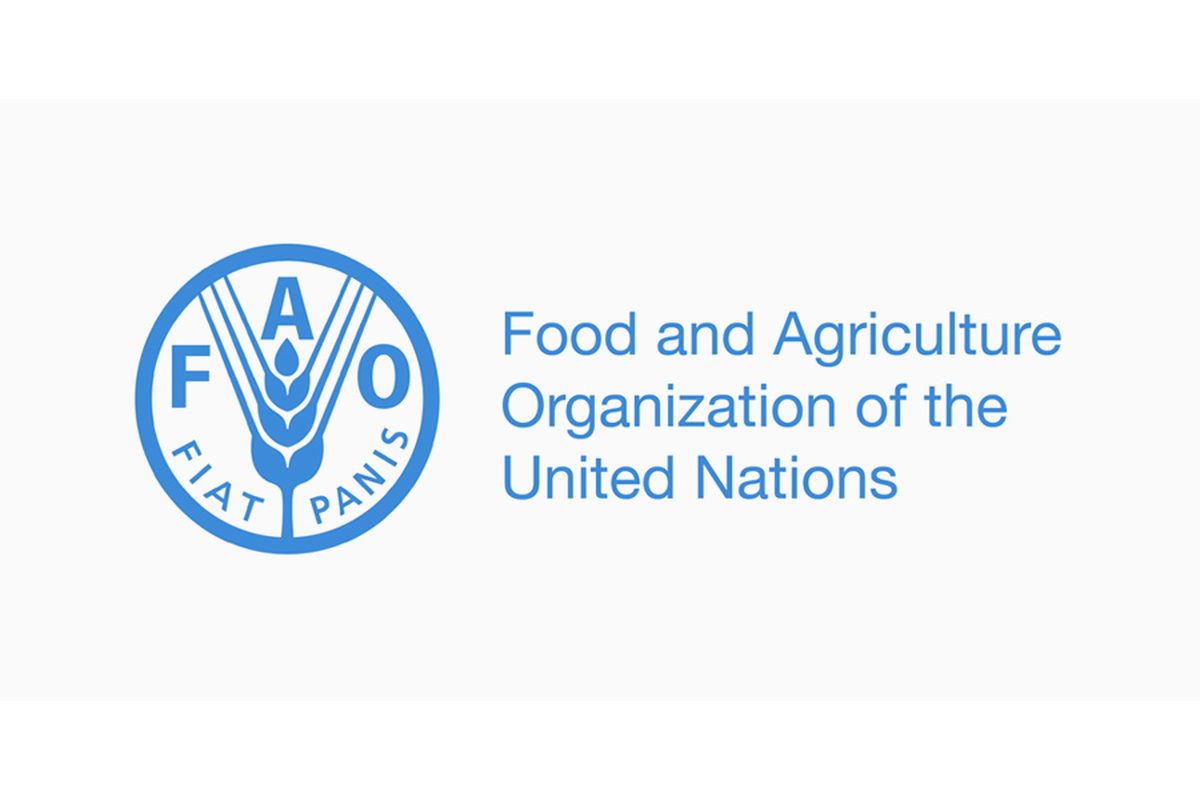 FAO study: Global meat supply quadrupled over six decades, but uneven distribution persists