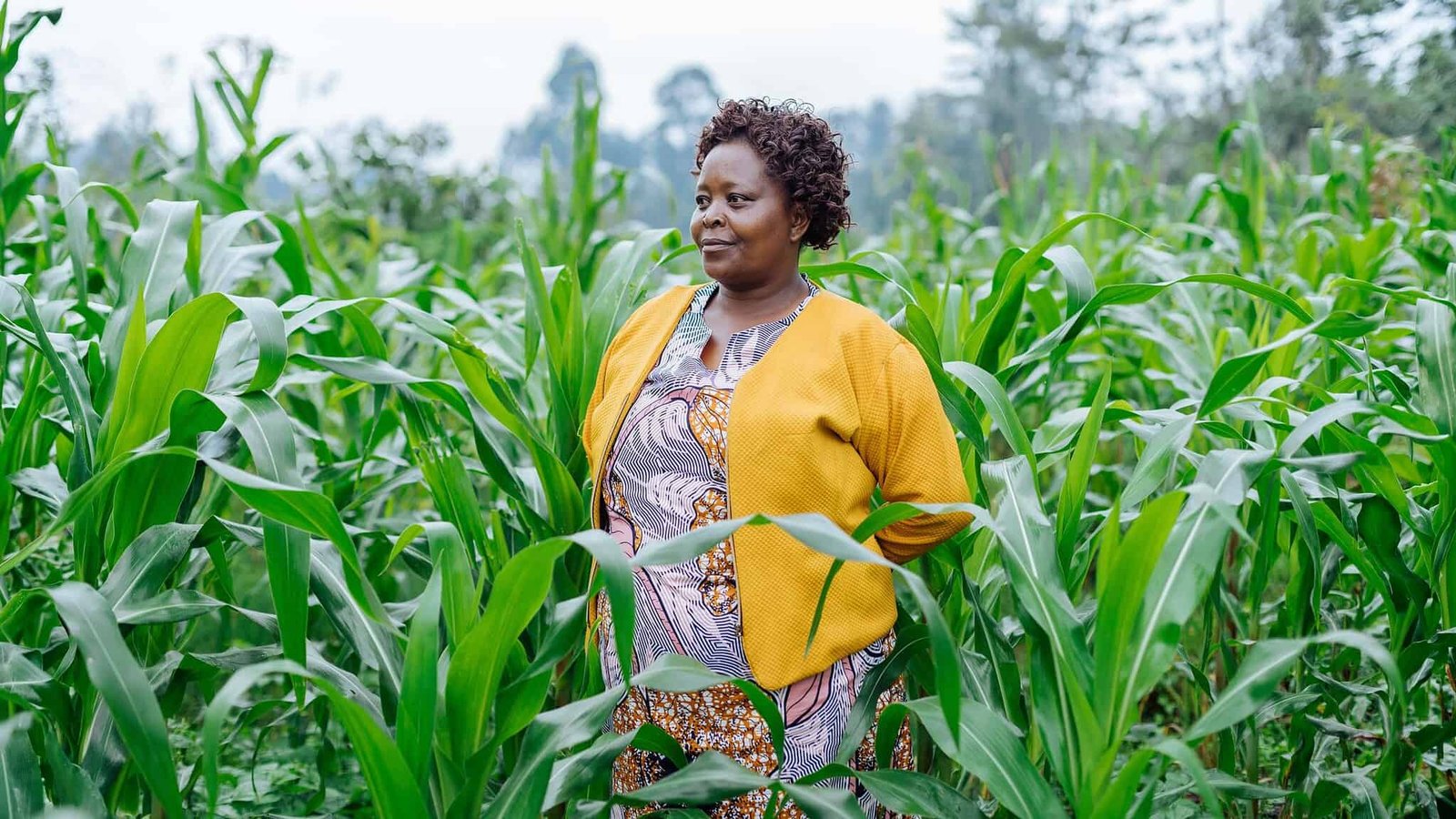 Photo courtesy : Juhudi Kilimo and Peter Irungu