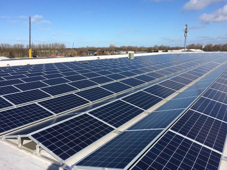 Future Crops moves to 100% Renewable Energy