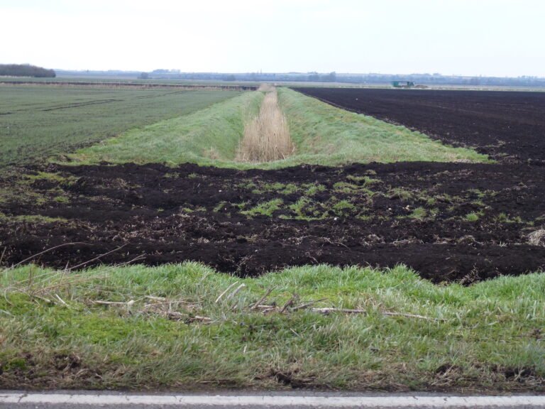 FAO publishes first global report on black soils