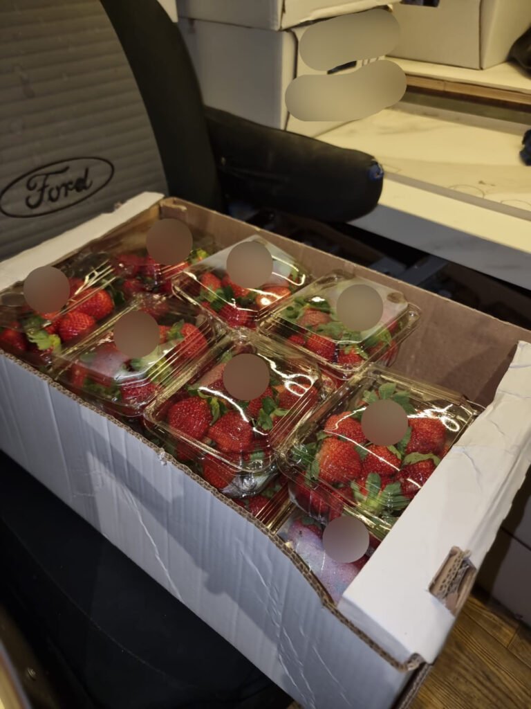 Israel seizes 200 kg smuggled strawberries from Gaza