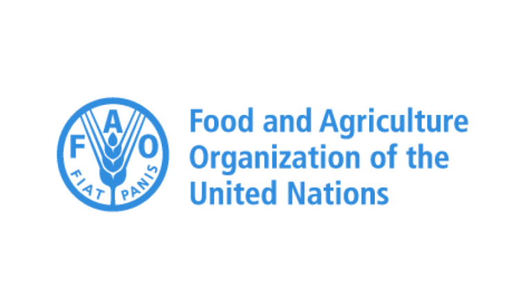 World food prices dip in December