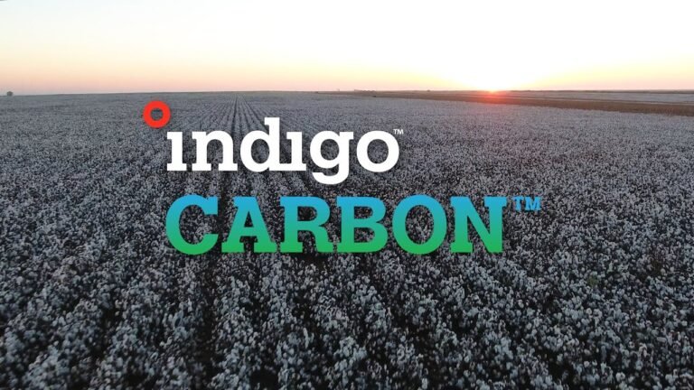 Indigo Ag completes of its second carbon crop, with more than 110,000 agri- carbon credits