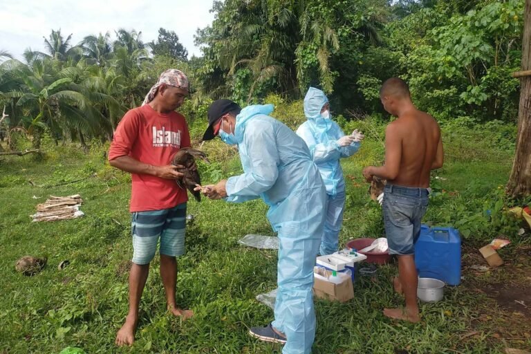 Philippines to strengthen livestock disease surveillance