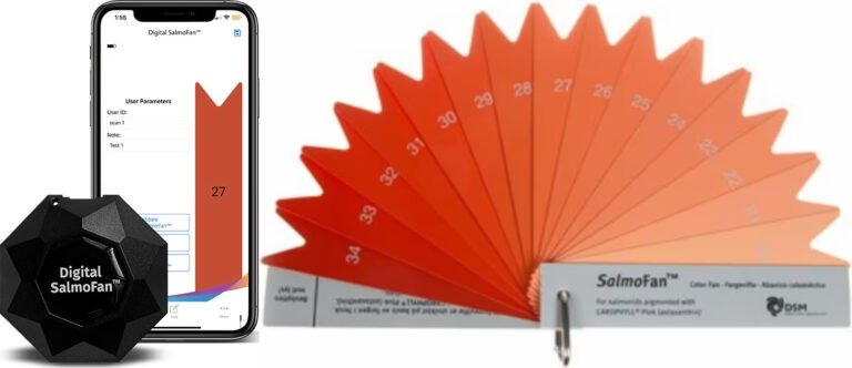 DSM launches Digital tool to measure fillet fish color across the value chain