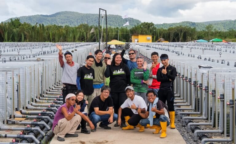 Japan’s NEDO commits $400M Green Innovation Fund to aid CHITOSE