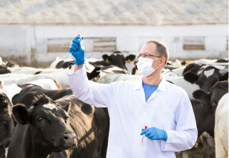 Evonik boosts probiotic production to promote gut health in farm animals