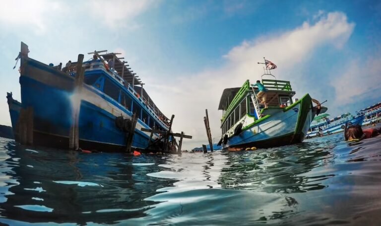 Farmed salmon exports to Asia are doubled by Scotland