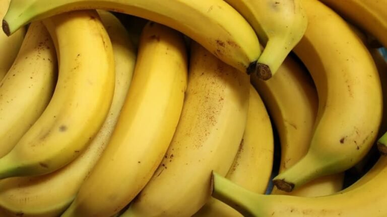Thai Bananas to generate 1.07 Bn Baht as demand soars in Japan