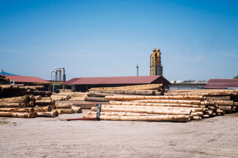 Australia boosts Timber plantations with AU$73 million in grants